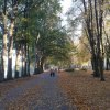 Wyniki XIV szkolnego konkursu fotograficznego: Ziemia Pucka - moja piękna mała ojczyzna